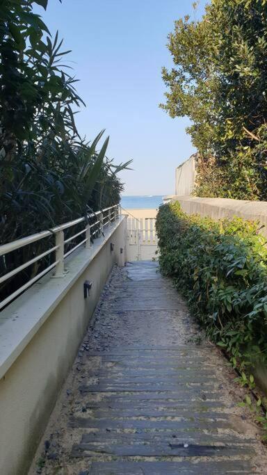Arcareve - Grand Studio De Standing Avec Terrasse, Jardin Et Acces Direct A La Plage Arcachón Exterior foto